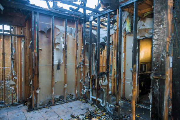 Professional Odor Removal technician working in Burke, VA