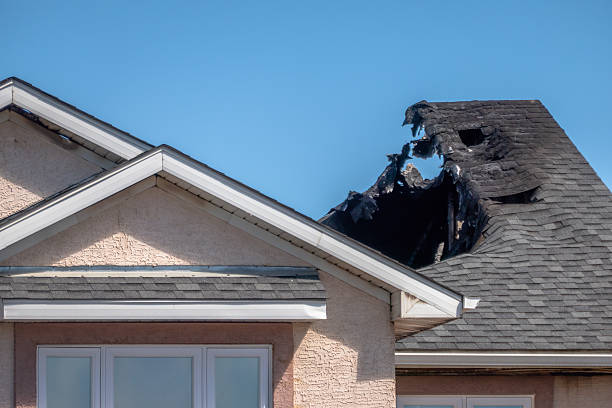 Top rated local Odor Removal specialists in Burke, VA